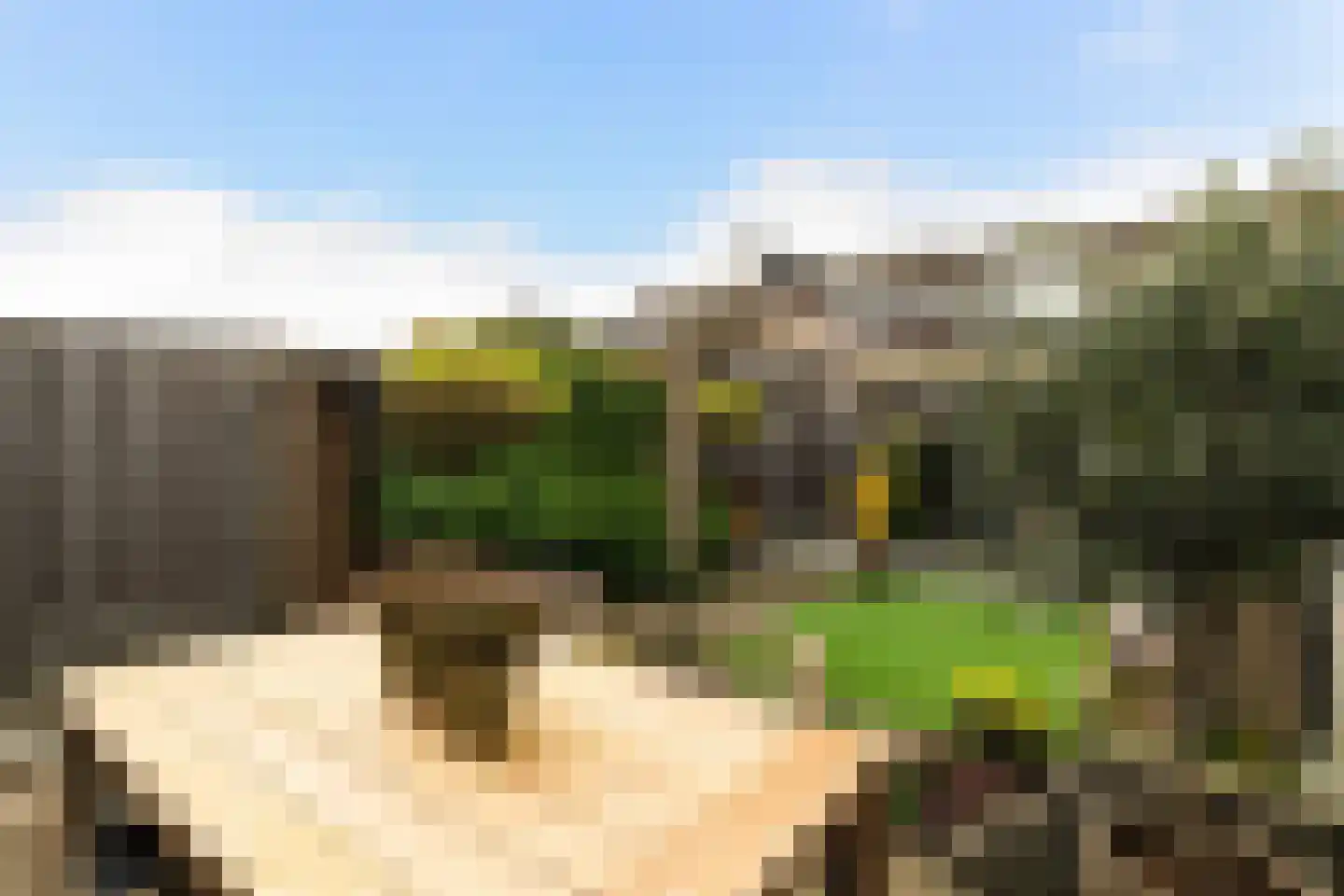 Tweetandschelp 10 Monster thumbnail 20