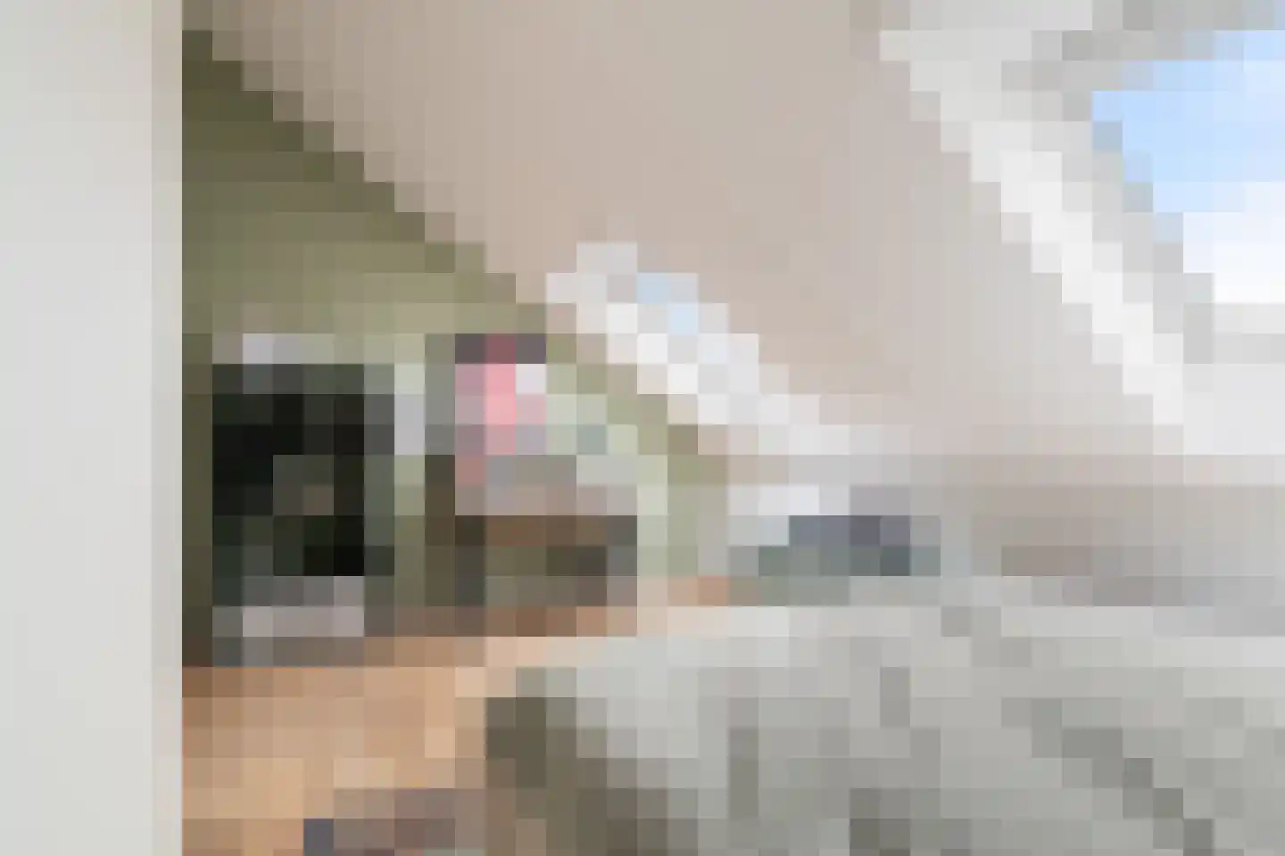 Tweetandschelp 10 Monster thumbnail 44