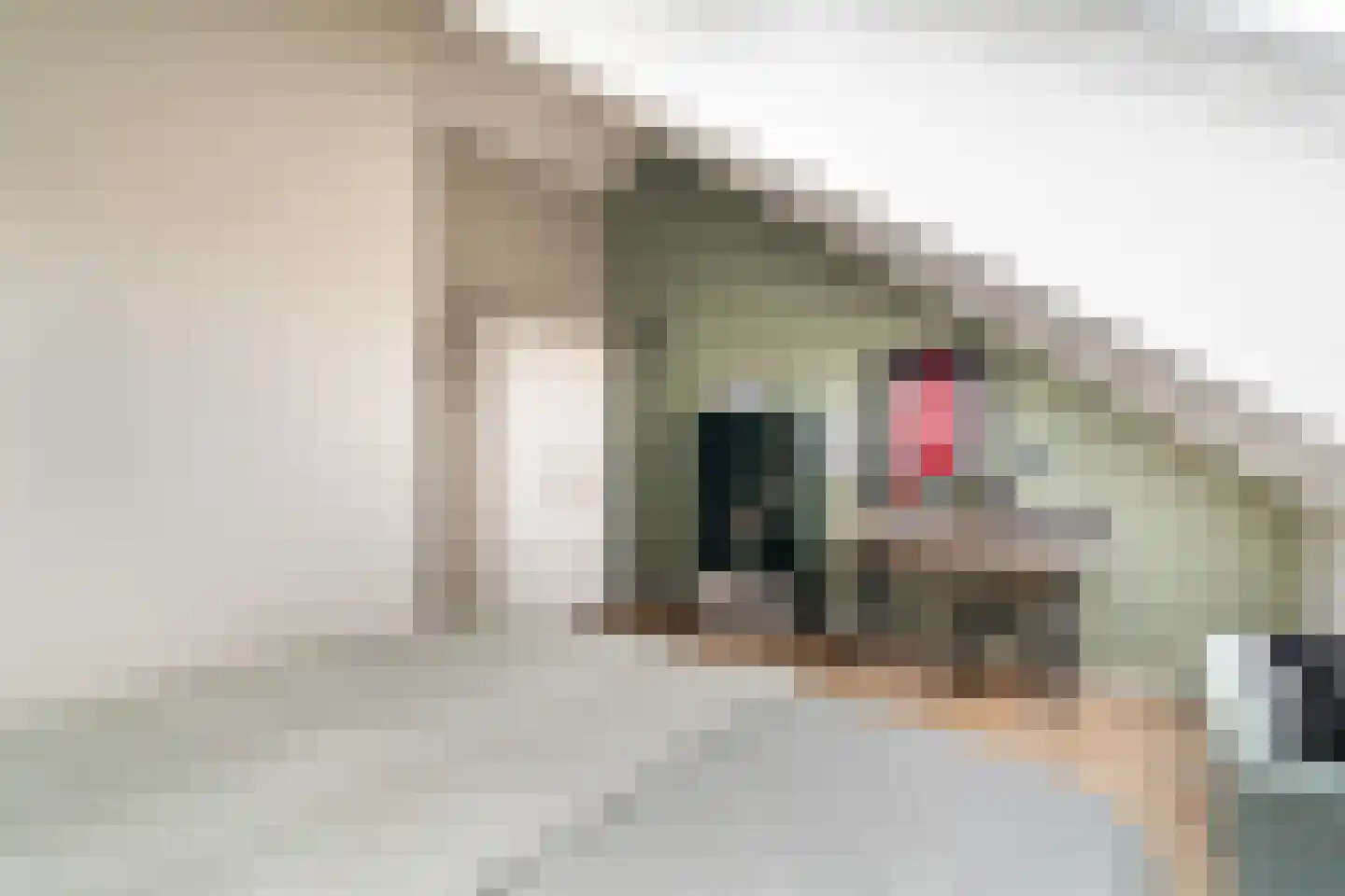 Tweetandschelp 10 Monster thumbnail 45