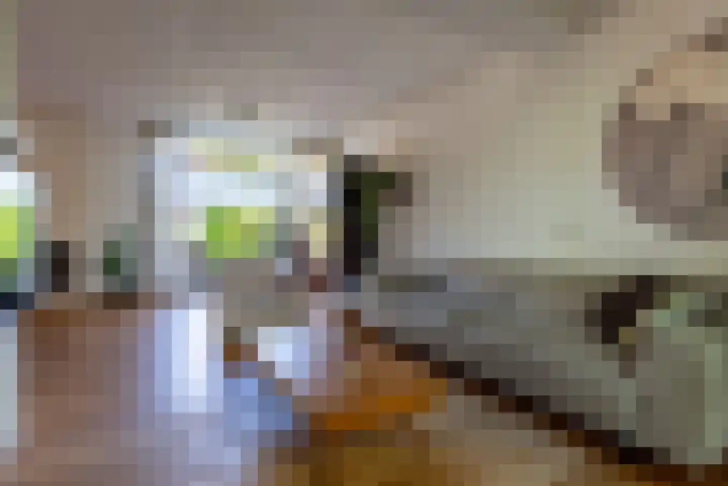 Tweevoren 43 Nuenen thumbnail 10