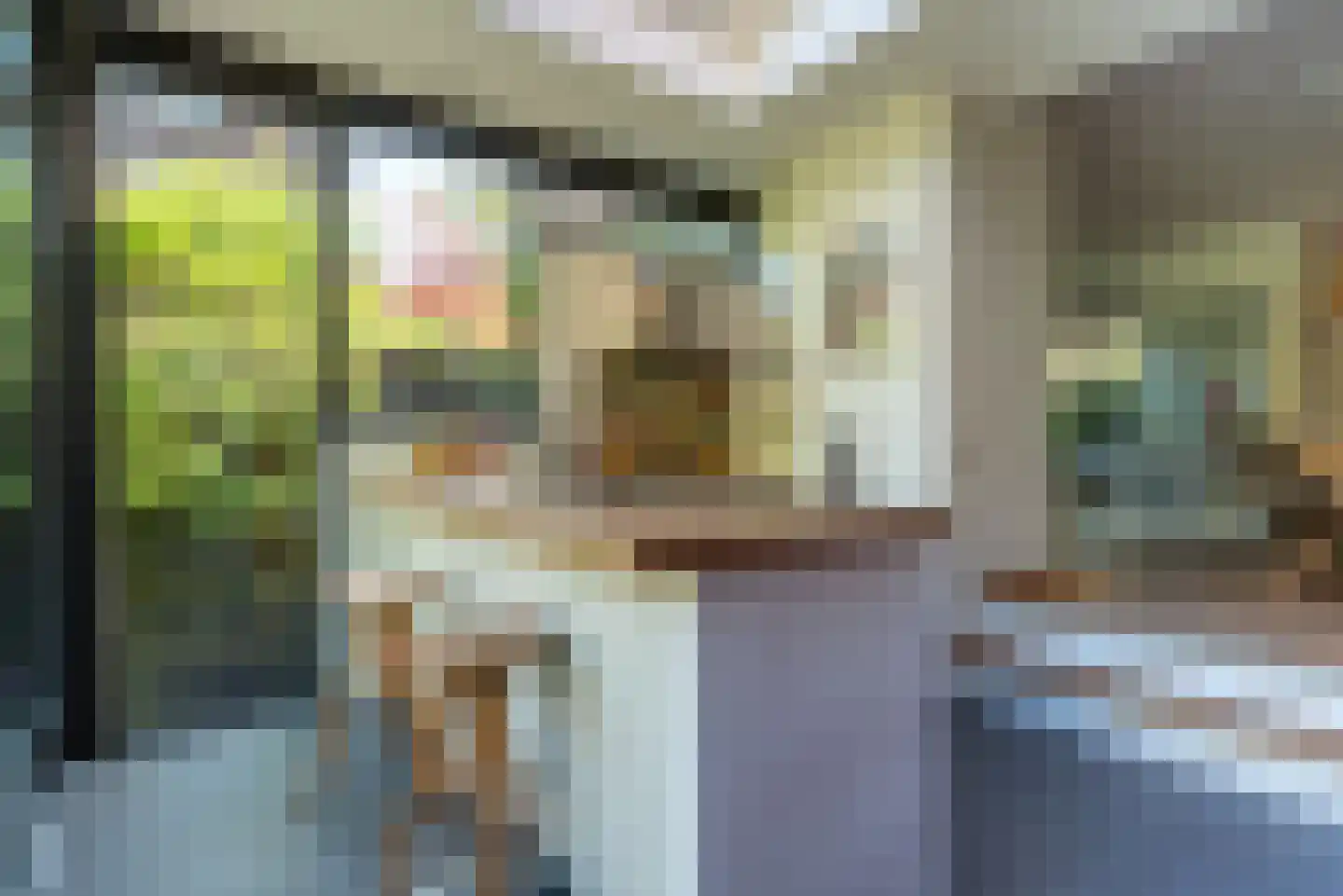 Tweevoren 43 Nuenen foto 3