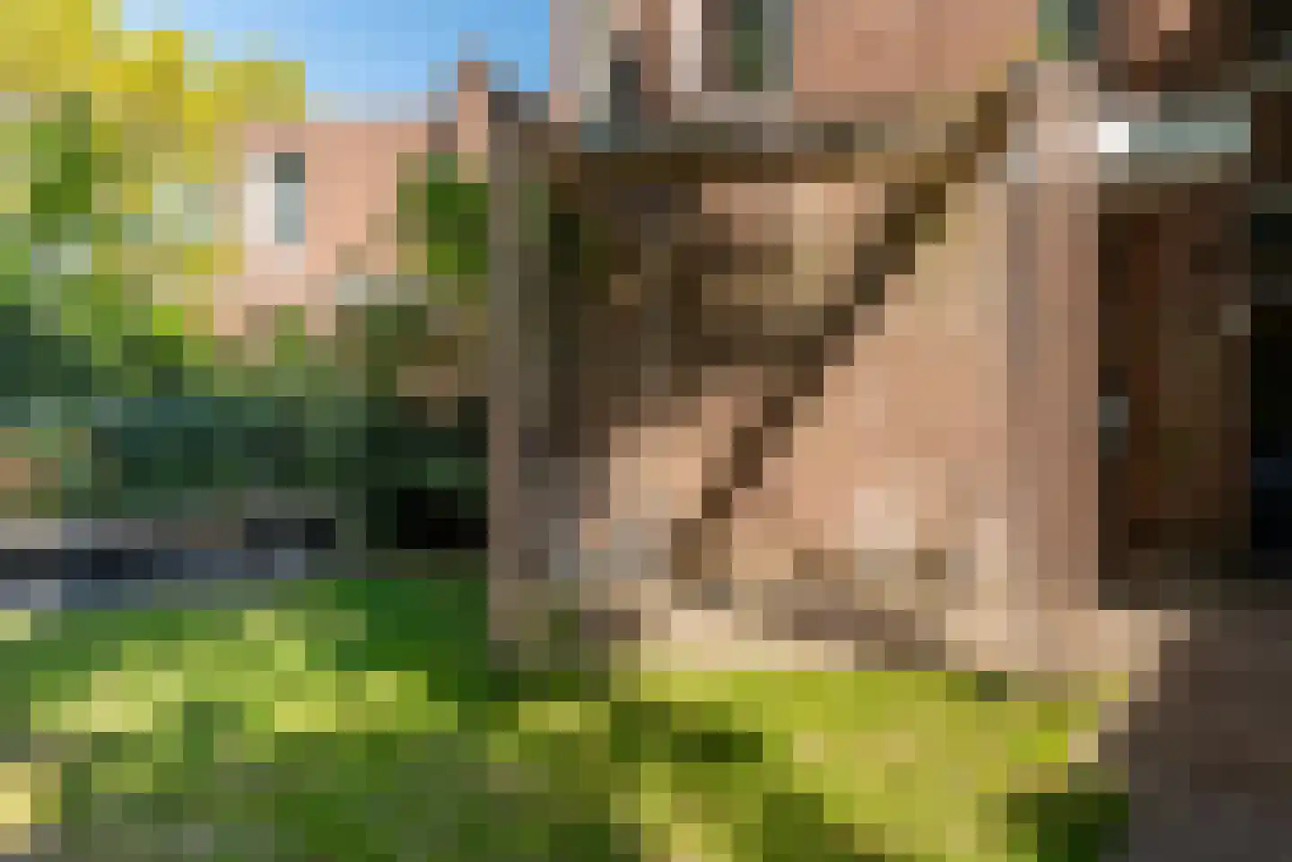 Tweevoren 43 Nuenen thumbnail 5
