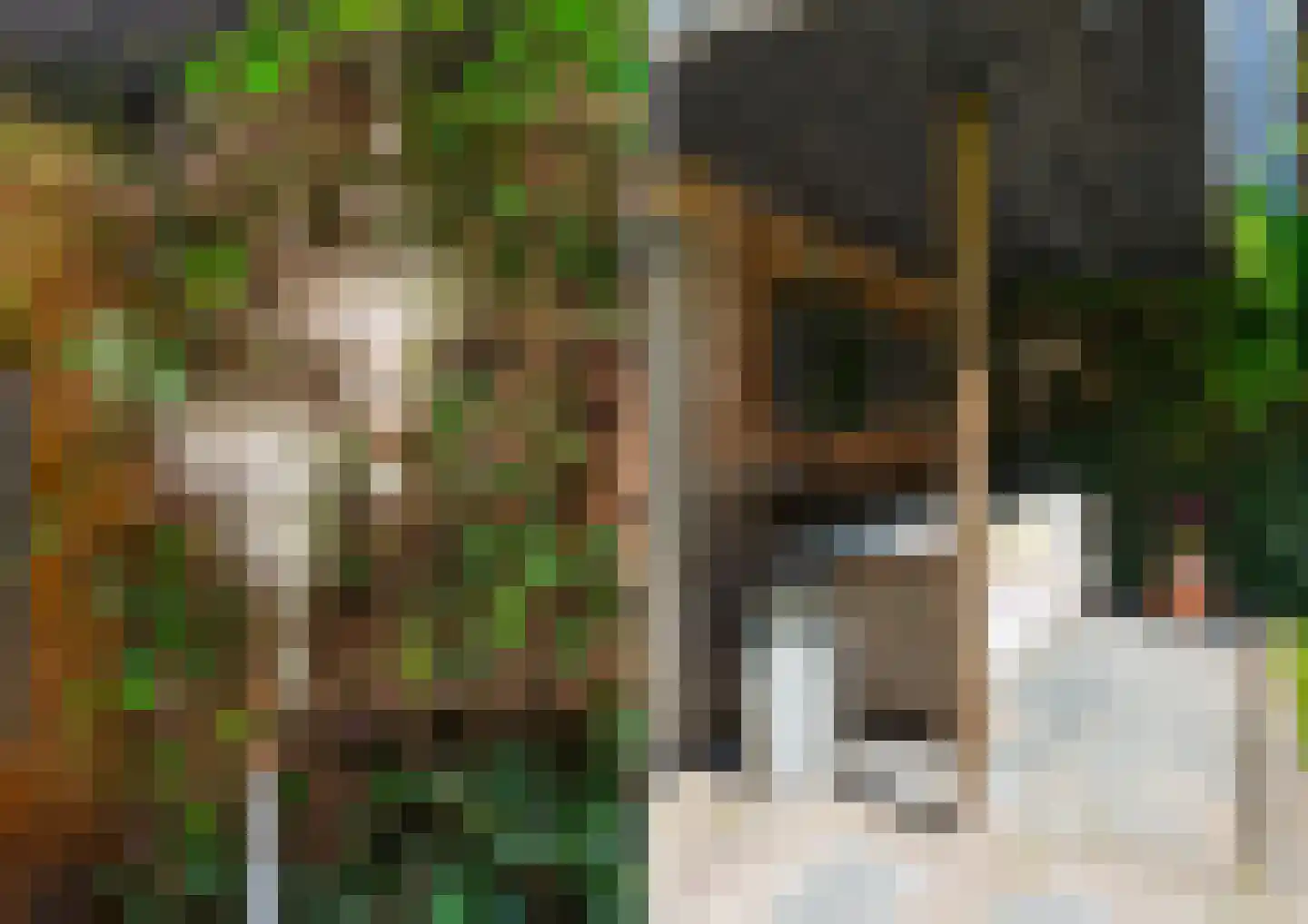 Tweevoren 43 Nuenen thumbnail 56