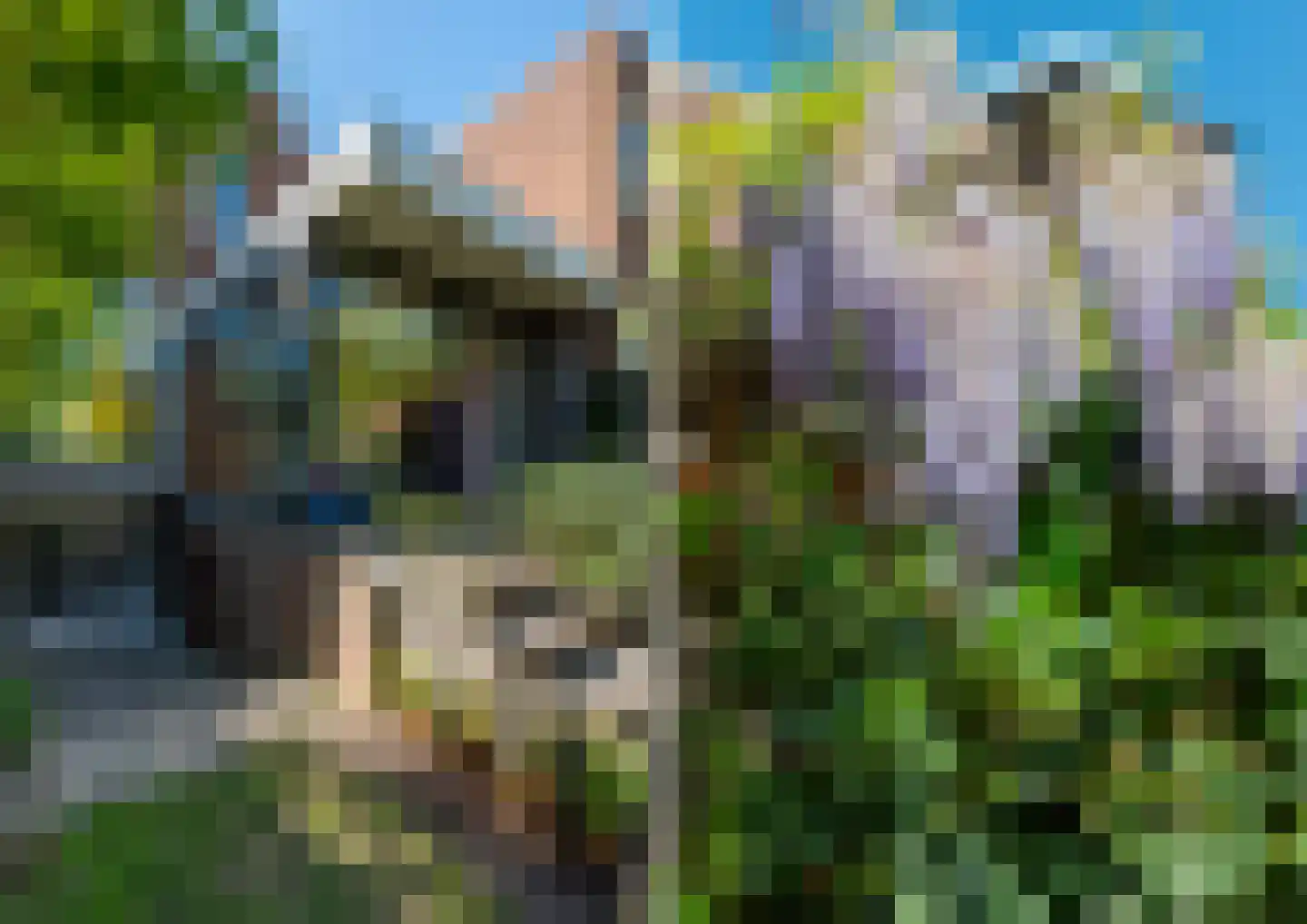 Tweevoren 43 Nuenen thumbnail 57