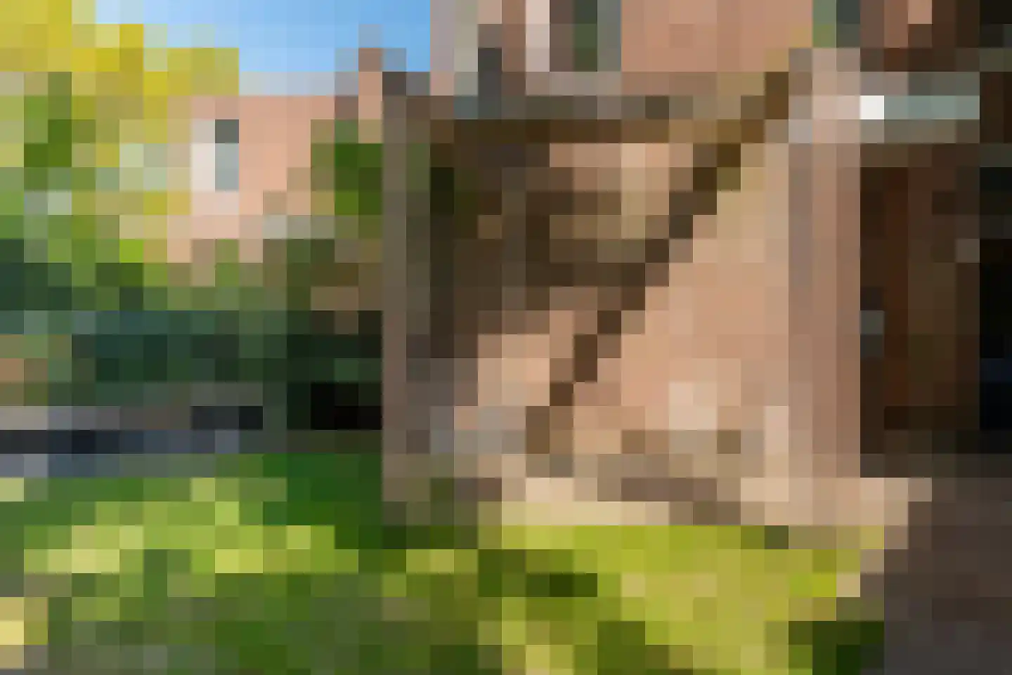 Tweevoren 43 Nuenen thumbnail 61