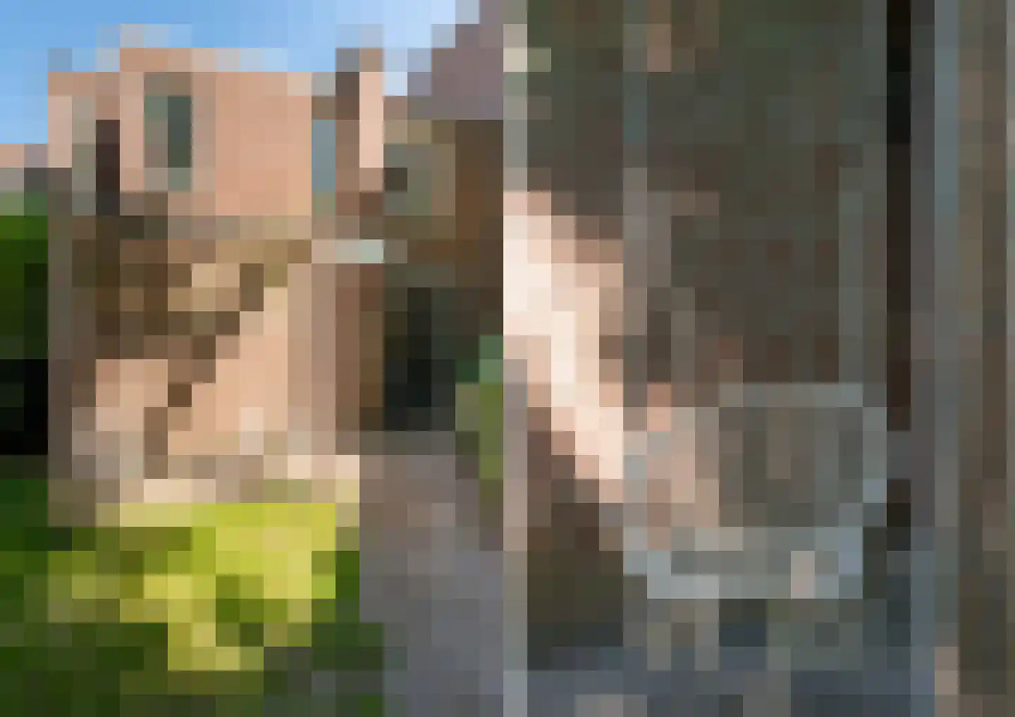 Tweevoren 43 Nuenen thumbnail 62