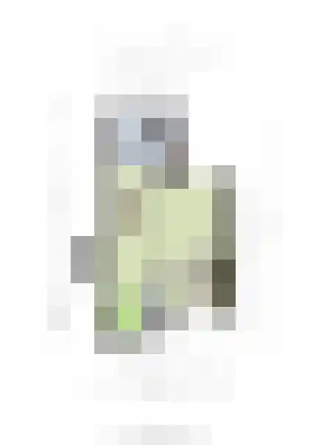 Tweevoren 43 Nuenen thumbnail 66