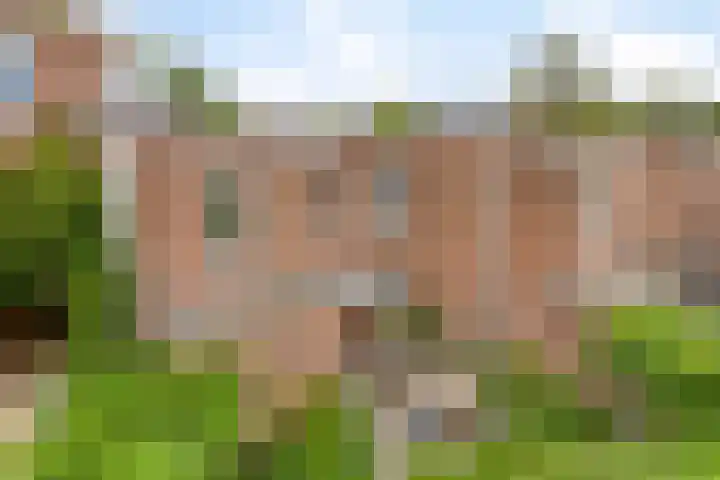 Tweevoren 68 Nuenen foto 3