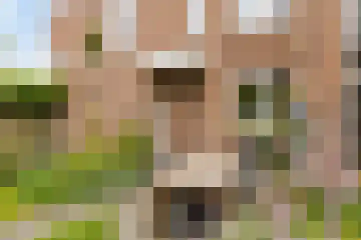 Tweevoren 68 Nuenen thumbnail 32