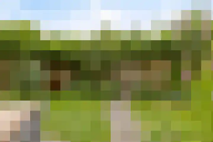 Tweevoren 68 Nuenen thumbnail 33