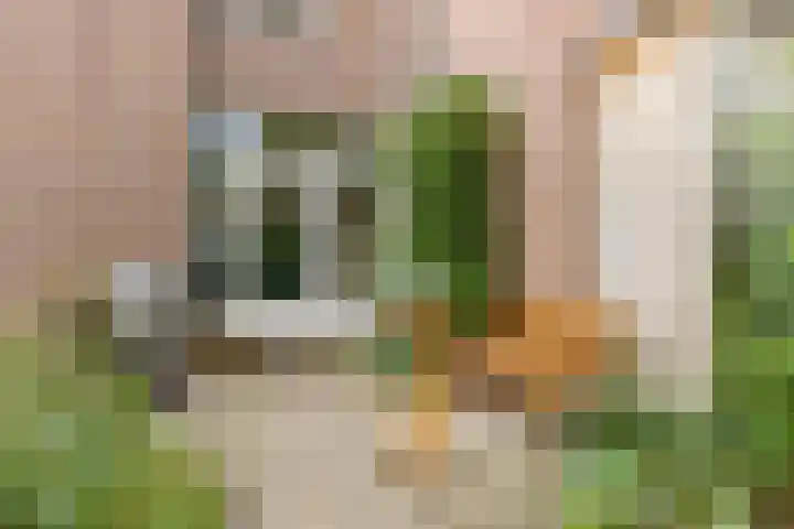 Tweevoren 68 Nuenen thumbnail 37
