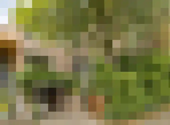 Tweevoren 68 Nuenen thumbnail 38