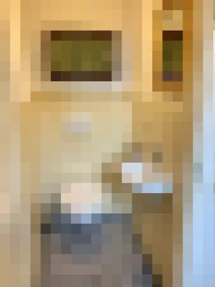 Tweevoren 68 Nuenen thumbnail 5