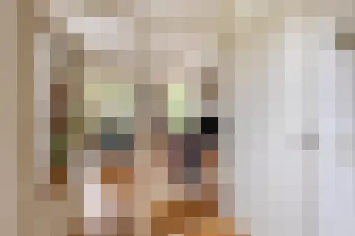 Tweevoren 68 Nuenen thumbnail 6