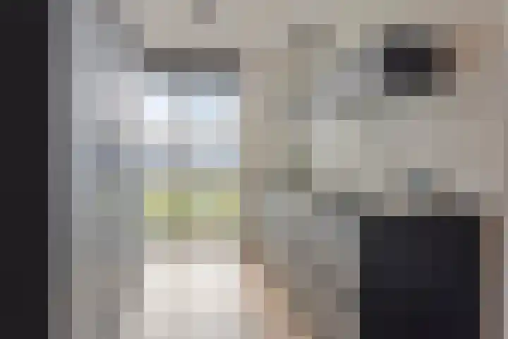 Twekkelerweg 31 Hengelo thumbnail 18