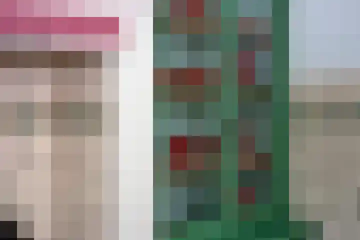 Twekkelerweg 66 Hengelo thumbnail 17