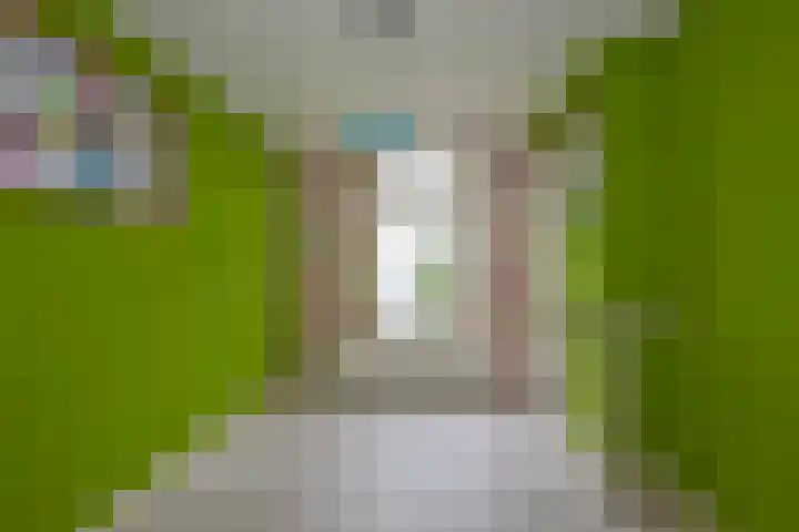 Twekkelerweg 66 Hengelo thumbnail 21