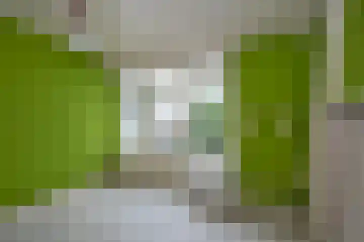 Twekkelerweg 66 Hengelo thumbnail 23