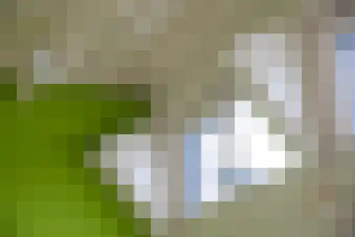 Twekkelerweg 66 Hengelo thumbnail 24