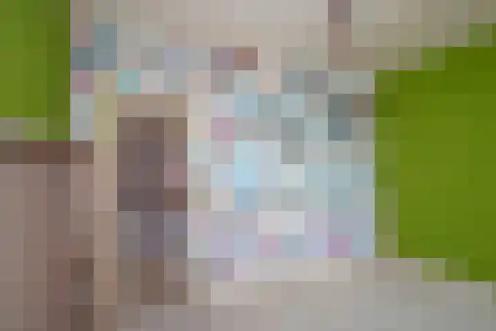 Twekkelerweg 66 Hengelo thumbnail 25
