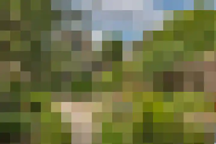 Twekkelerweg 66 Hengelo thumbnail 31