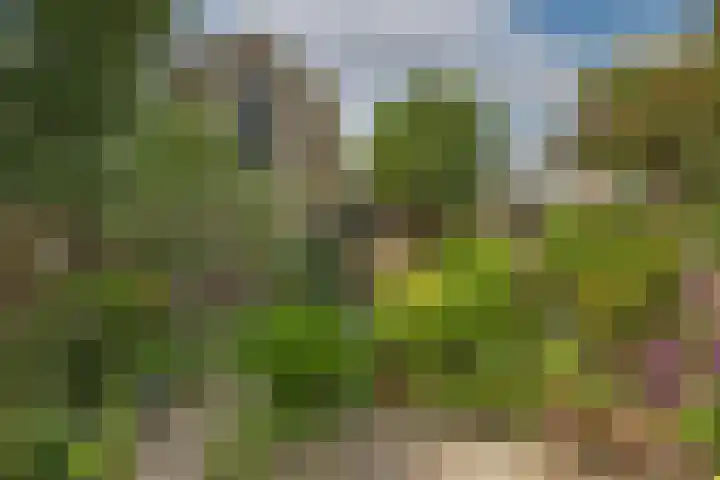 Twekkelerweg 66 Hengelo thumbnail 32