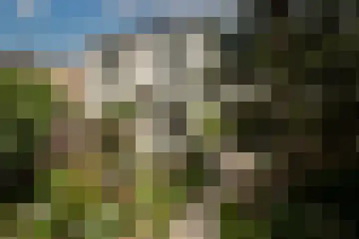 Twekkelerweg 66 Hengelo thumbnail 34