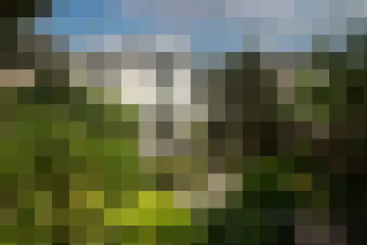 Twekkelerweg 66 Hengelo thumbnail 35