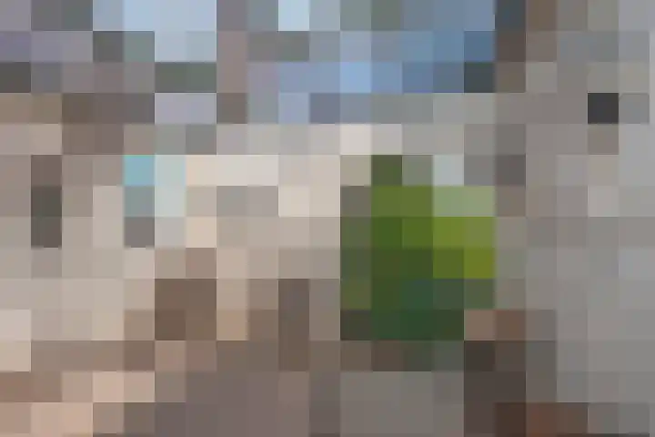 Twekkelerweg 66 Hengelo thumbnail 37