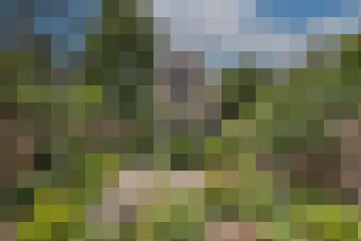 Twekkelerweg 66 Hengelo thumbnail 4