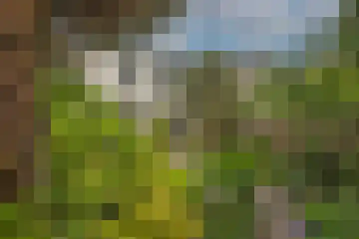 Twekkelerweg 66 Hengelo thumbnail 40