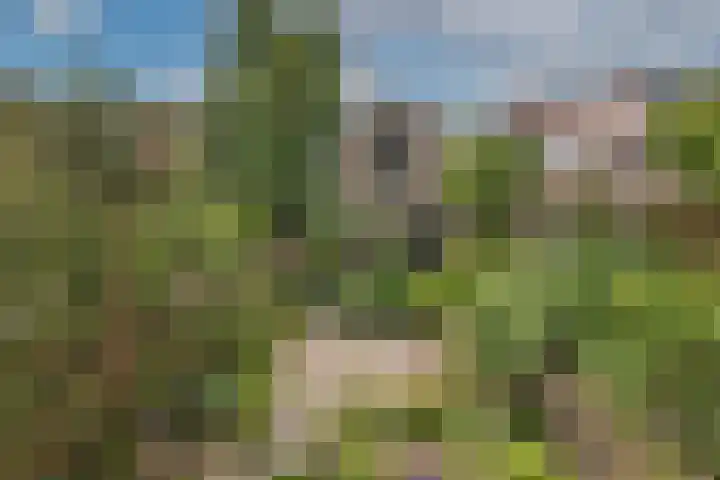 Twekkelerweg 66 Hengelo thumbnail 41
