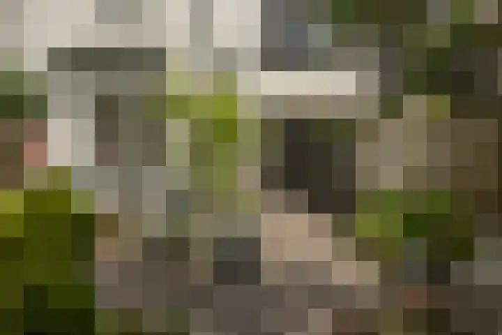 Twekkelerweg 66 Hengelo thumbnail 42