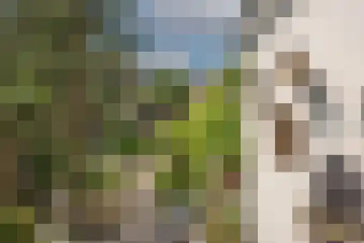 Twekkelerweg 66 Hengelo thumbnail 43