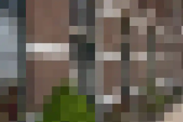 Twekkelerweg 66 Hengelo thumbnail 45