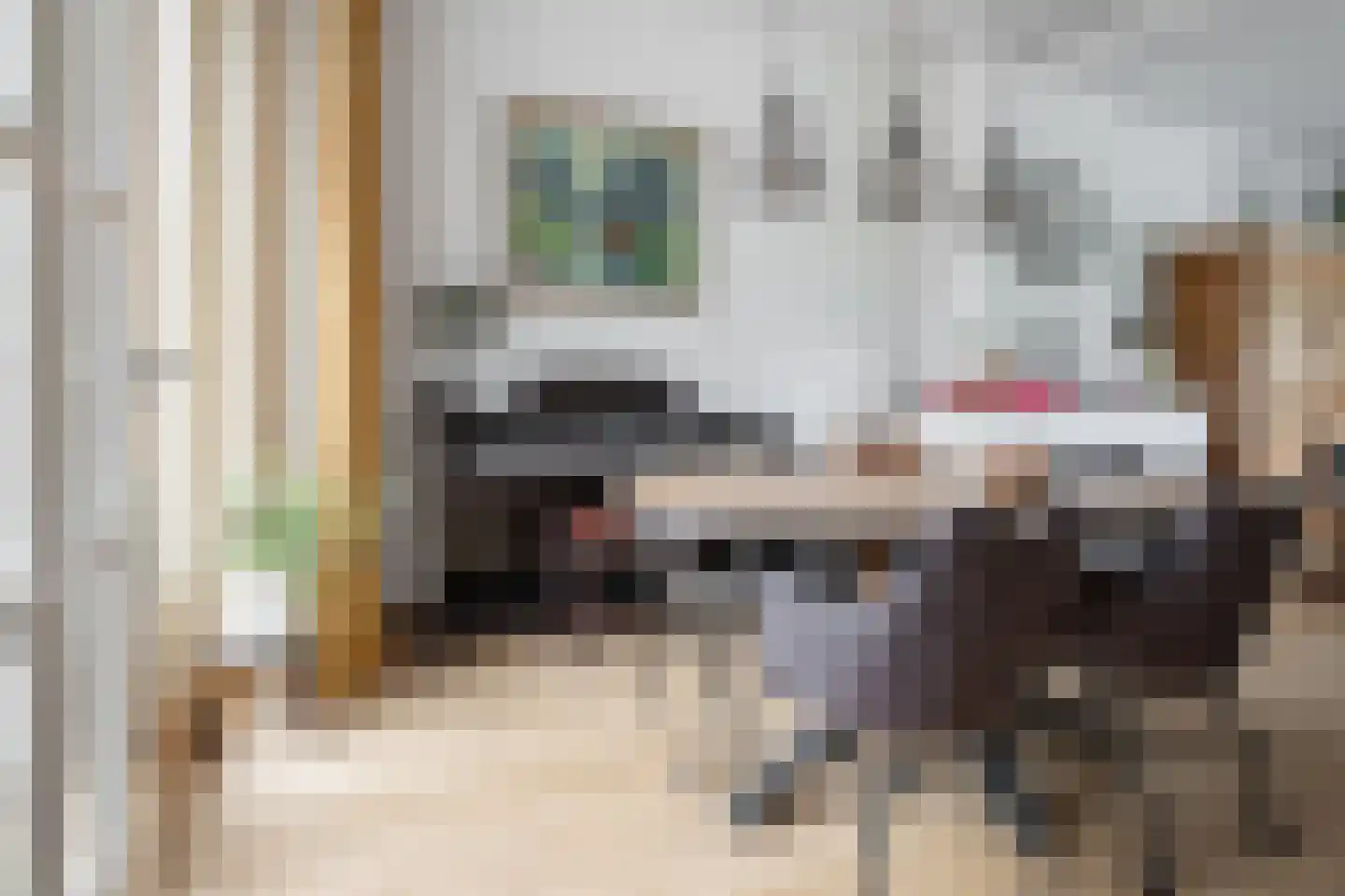 Twekkelerweg 71 Hengelo thumbnail 7