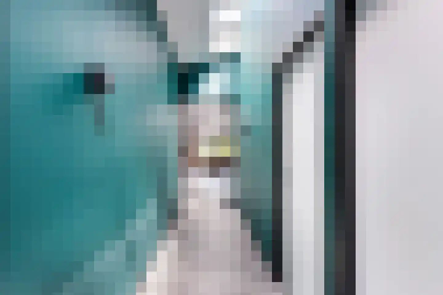 Twelloseweg 100 Terwolde thumbnail 11