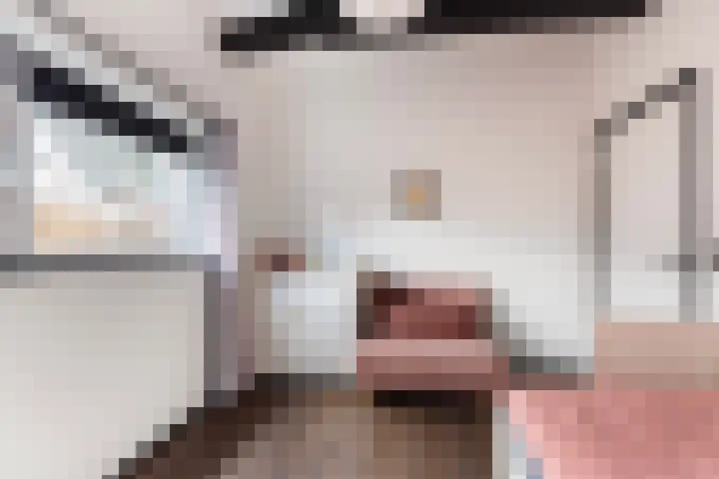 Twelloseweg 100 Terwolde thumbnail 24