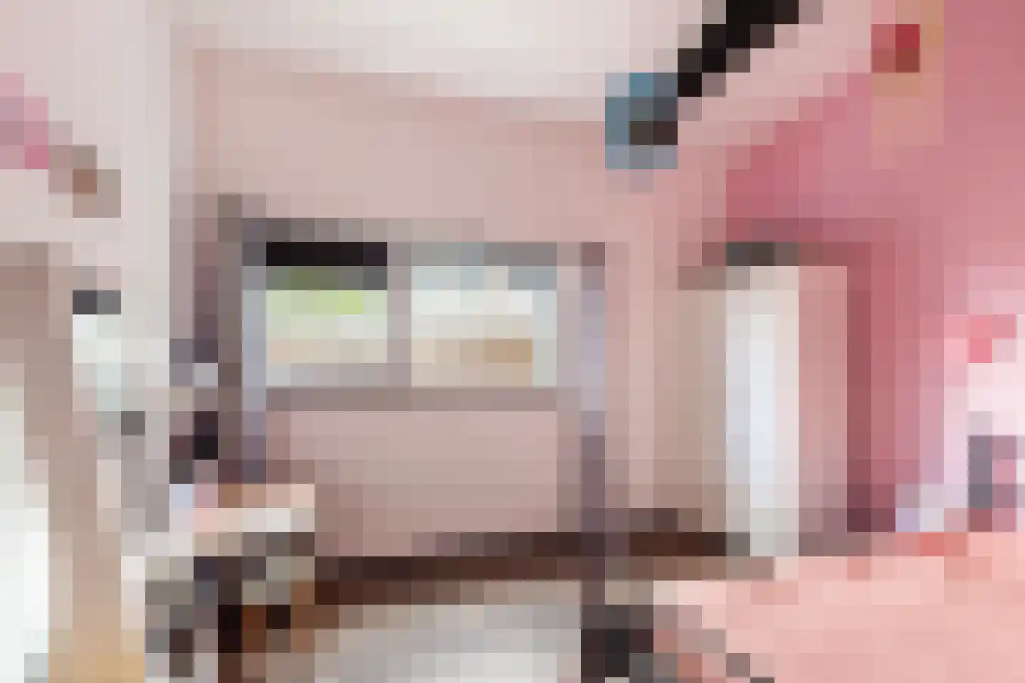 Twelloseweg 100 Terwolde thumbnail 25