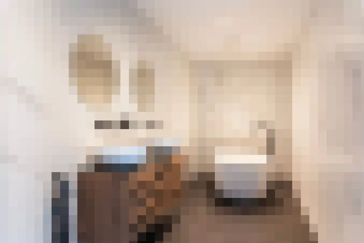 Twelloseweg 100 Terwolde thumbnail 27