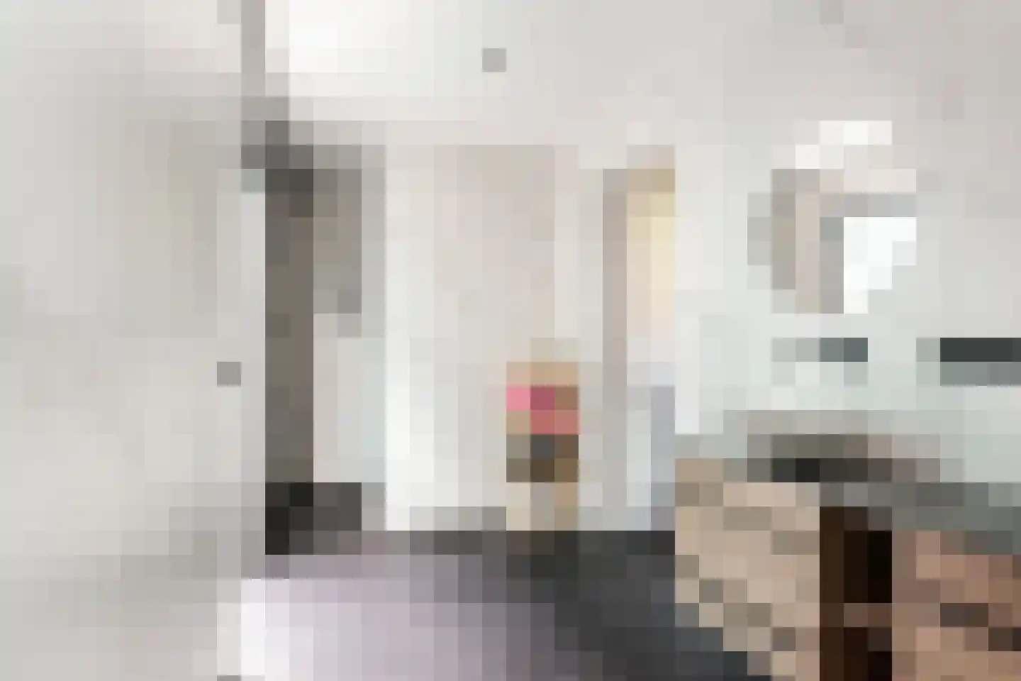 Twelloseweg 100 Terwolde thumbnail 32