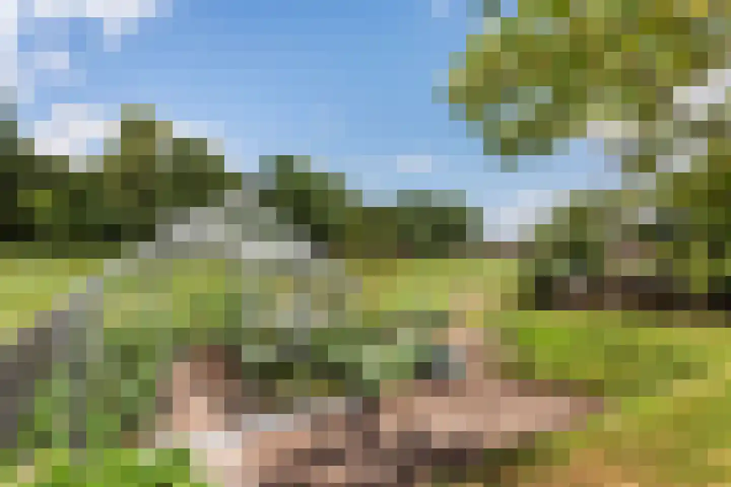 Twelloseweg 100 Terwolde thumbnail 41