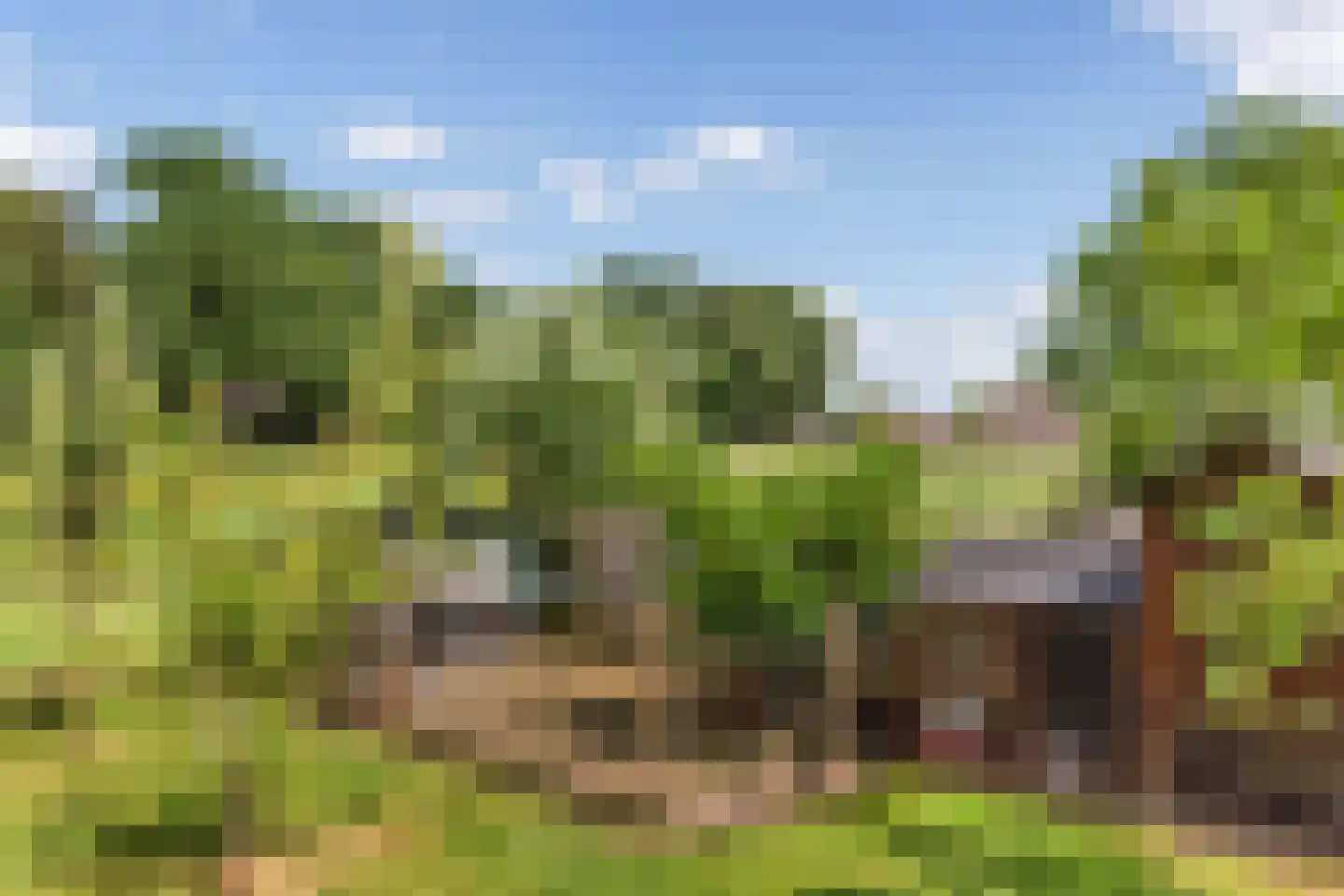 Twelloseweg 100 Terwolde thumbnail 42
