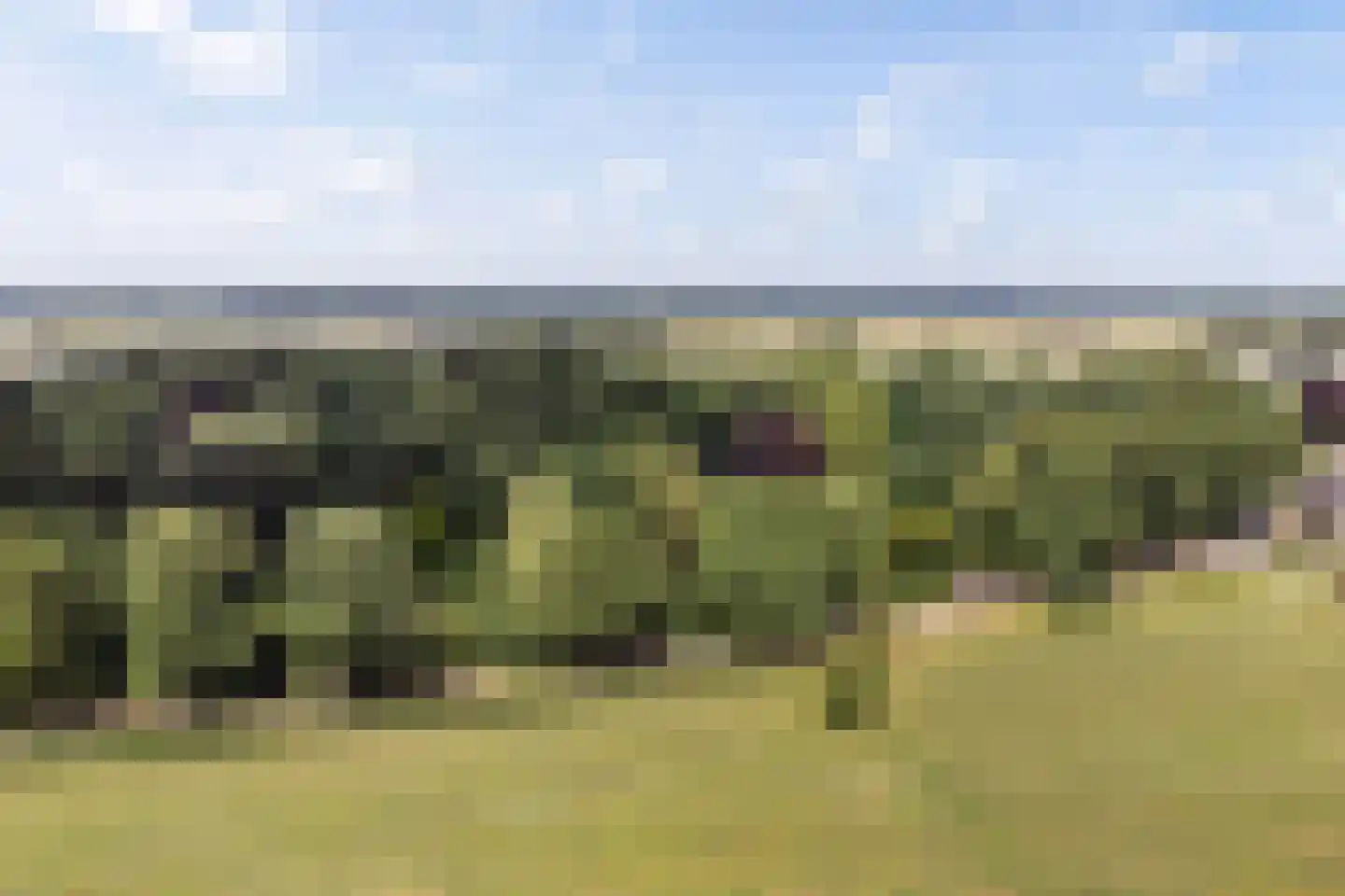 Twelloseweg 100 Terwolde thumbnail 44