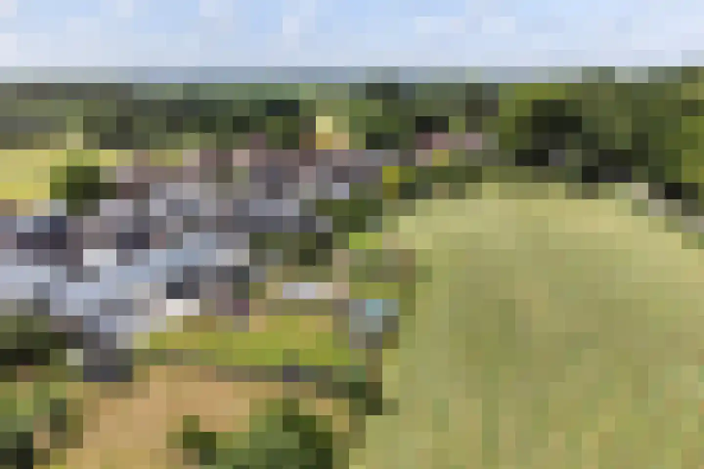 Twelloseweg 100 Terwolde thumbnail 45