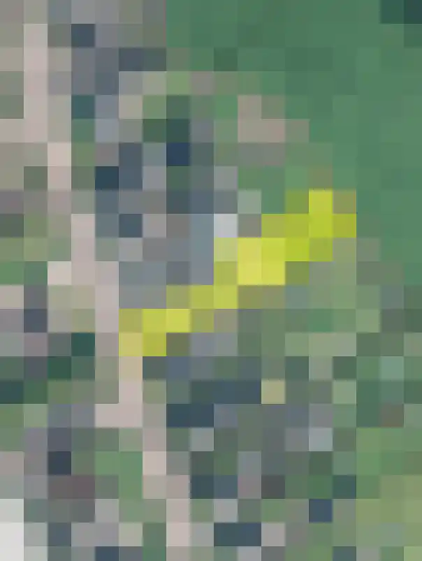 Twelloseweg 100 Terwolde thumbnail 50