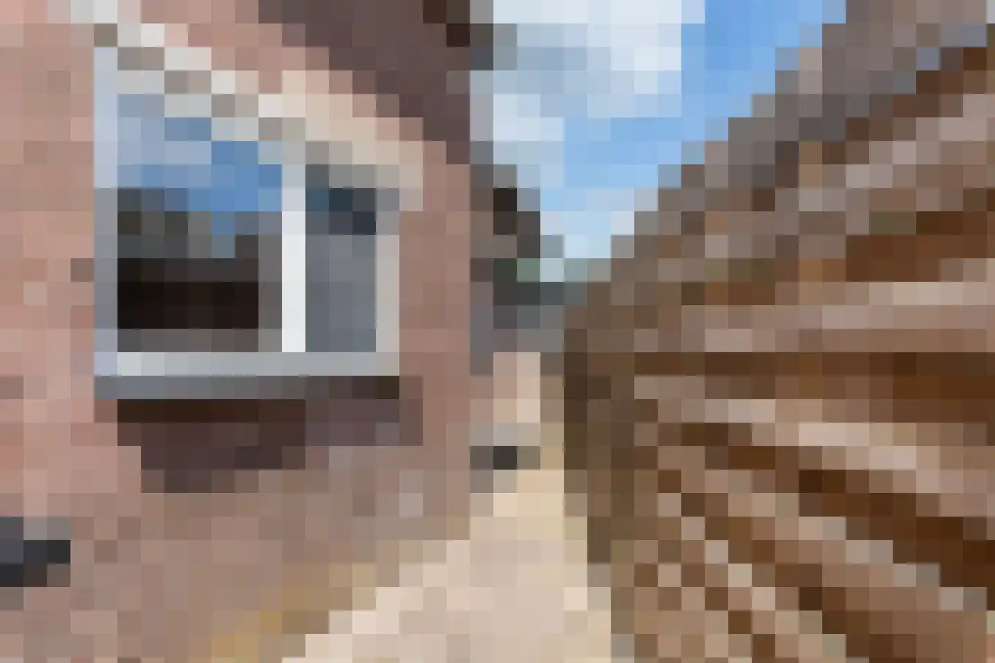 Twelloseweg 100 Terwolde thumbnail 9