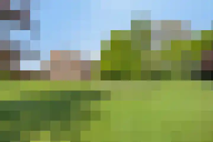 Twelloseweg 3 Terwolde thumbnail 10