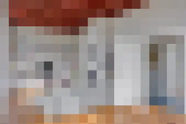 Twelloseweg 3 Terwolde thumbnail 18