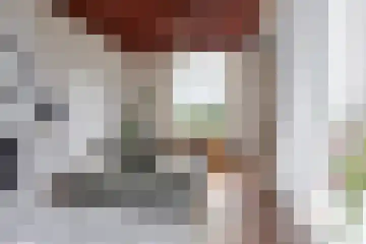 Twelloseweg 3 Terwolde thumbnail 19